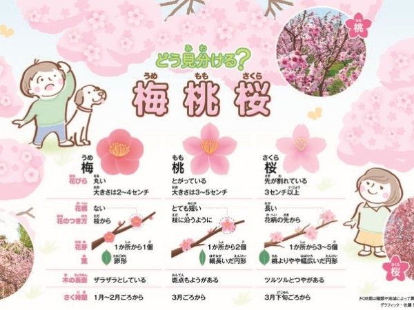 日本の歴史 きのうのあしたは……（7巻セット） ｜ 朝日小学生新聞
