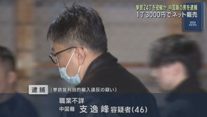 おもちゃと称した拳銃２４丁を販売目的で密輸した疑い　中国籍の男を逮捕　宮城県警