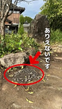 翌朝、ありえない光景が…／かずみさん（@ig.kazumi）提供