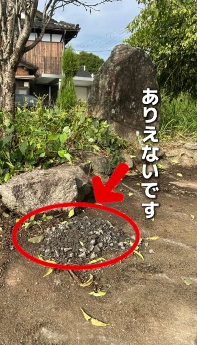 翌朝、ありえない光景が…／かずみさん（@ig.kazumi）提供