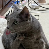 別の角度から＝M. Manabeさん（@nekomanabe）提供