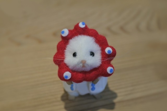 正面からミャクはむちゃん（提供：ましゅまるさん）