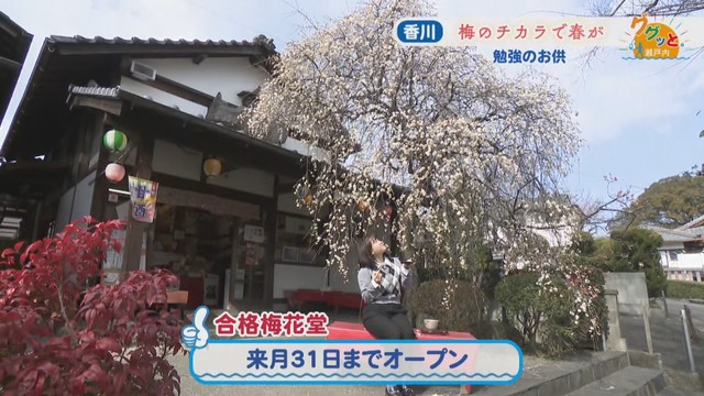 合格梅花堂(香川・綾川町)