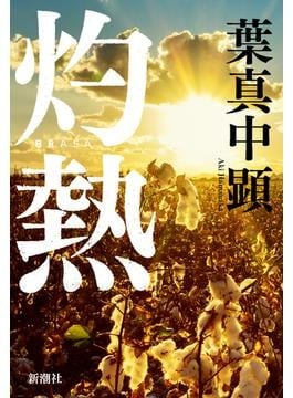 相続と登記（物権法研究１）田中淳子　成文堂　≪絶版品切中の稀覯書≫ 相続と登記（物権法研究1）田中淳子 成文堂 ≪絶版品切中の
