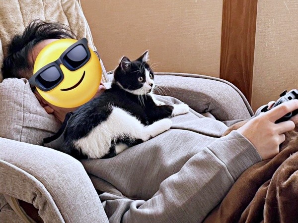 保護1週間後、一緒にゲームを楽しむあんこちゃん（画像提供：しじみとんさん）