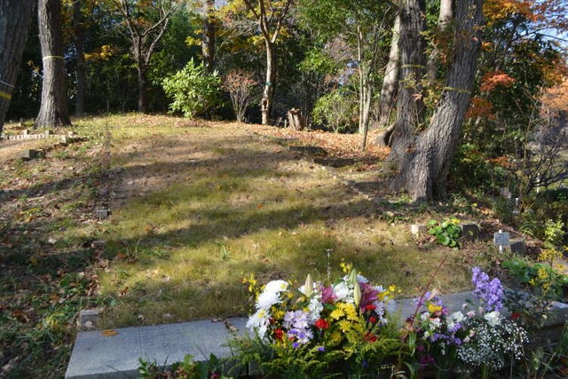 樹林が広がる区画。埋葬場所が分かるよう目印に石版が置かれている