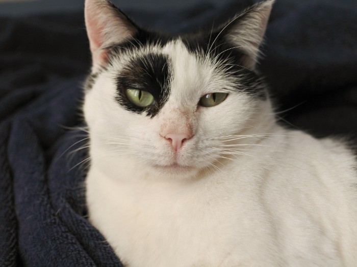 口元がモキュッ（mimoeさん提供）