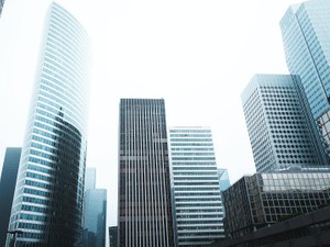 キギョウという大きな組織に圧倒された。私は半径３メートルを守るために働きたい