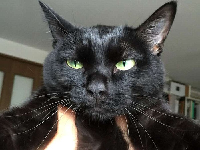 抱かれたら、ブサ顔になっちゃった