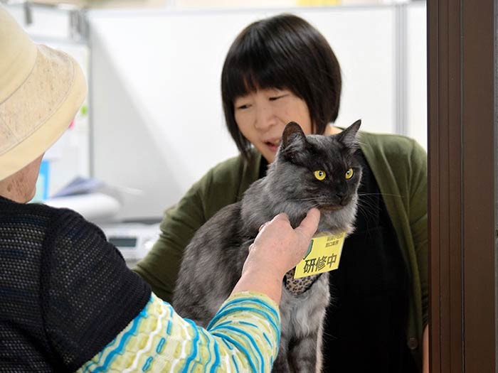 切符を買う人になでられるしょこら