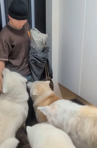 兄を出迎えたのは、4匹の大型犬…！（提供：＠ko_yuki1115さん）