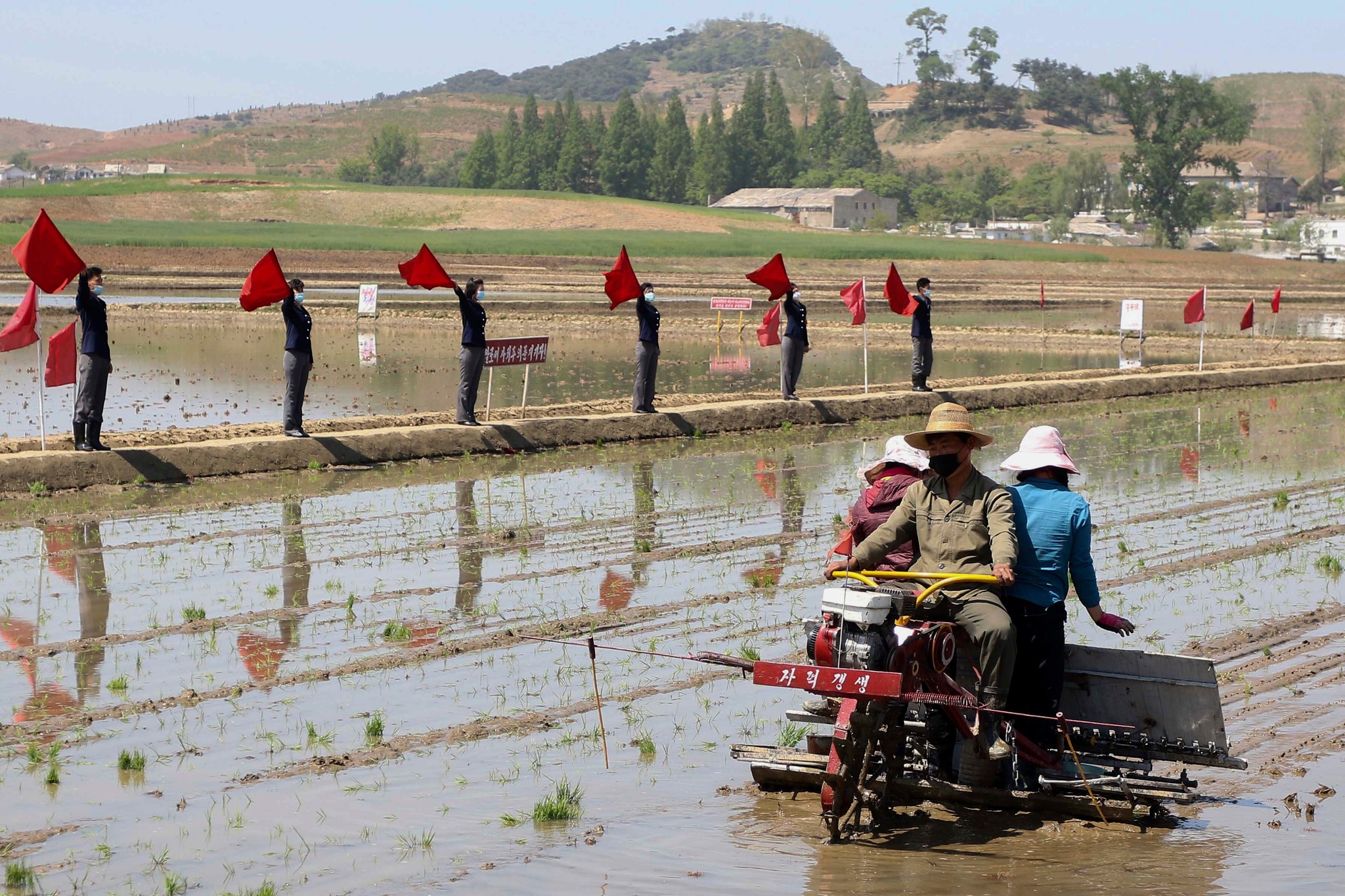 North Korea's Kim orders 'fundamental transformation' of agriculture amid  reports of food shortages | The Asahi Shimbun: Breaking News, Japan News  and Analysis