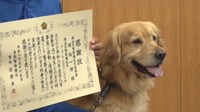 女性を発見した嘱託警察犬／ルイくん（5歳）