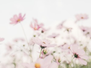 親友のお通夜とお葬式の間で止まった私は、今も別れの道半ばにいる