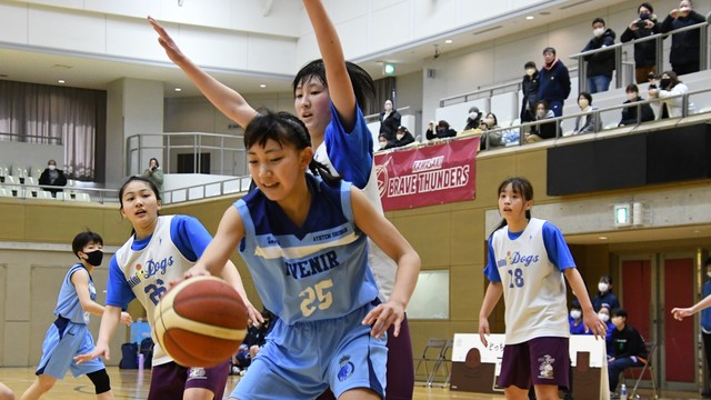 アステム湘南AVENIR―ミニドッグス