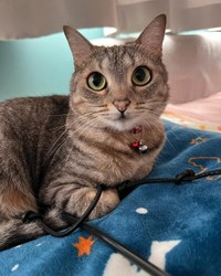 運動神経には自信があるの