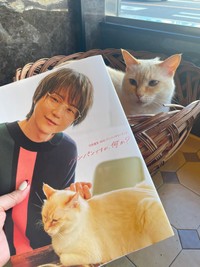 声優の河西健吾さんもきたよ！（「猫喫茶　ネコブ」さん提供）