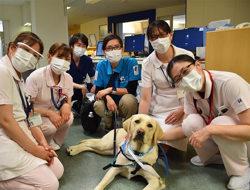 ファシリティドッグは病院の大切な仲間