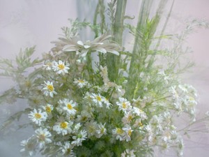 ピル内服＝避妊！？偏見が根深い社会に伝えたい、生理と健康の話