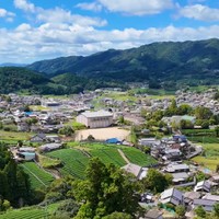 京都府和束町の景色（提供：茶農家の杉ちゃん【和束町】さん）