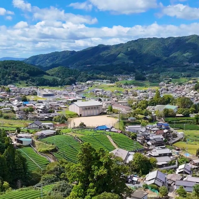 京都府和束町の景色（提供：茶農家の杉ちゃん【和束町】さん）