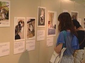 写真展「みんなイヌ、みんなネコ」、内容一新し新宿で開催