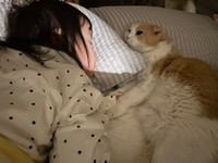 息を引き取る2時間ほど前、眠っている2歳の愛娘のそばに横たわったという愛猫のエピソードがXで話題に（飼い主さん提供）