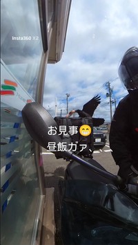 荷台に置かれたパンをカラスがくわえた瞬間。わずかな隙を突かれたという／フードデリバリー廃達員さん（@bad_uber_rider）提供