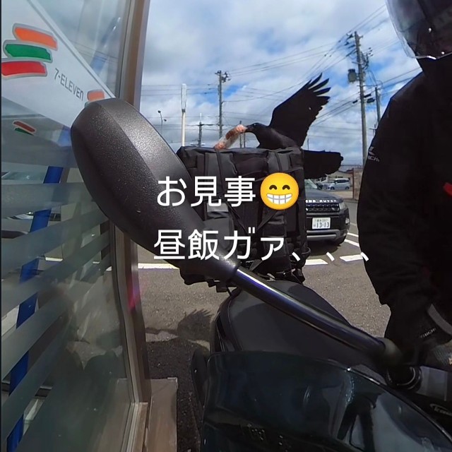 荷台に置かれたパンをカラスがくわえた瞬間。わずかな隙を突かれたという／フードデリバリー廃達員さん（@bad_uber_rider）提供