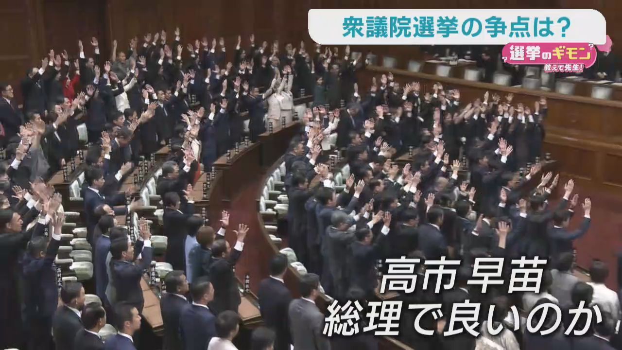 衆議院選挙２７日公示　宮城県５選挙区の構図が固まる　専門家に聞く争点