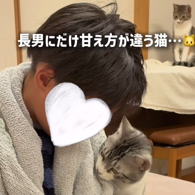 長男くんにだけ甘え方が違う猫さん（ろくはなさん提供、Instagramよりキャプチャ撮影）