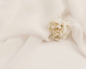 「むかつく」と思っていた父親。結婚式で手紙を読んで号泣してしまった