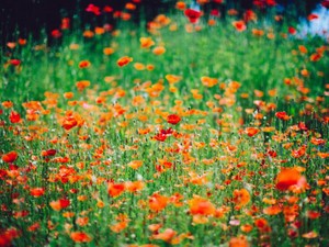 初めての恋人は劇的じゃない。だけど、特別じゃないのに忘れられない。