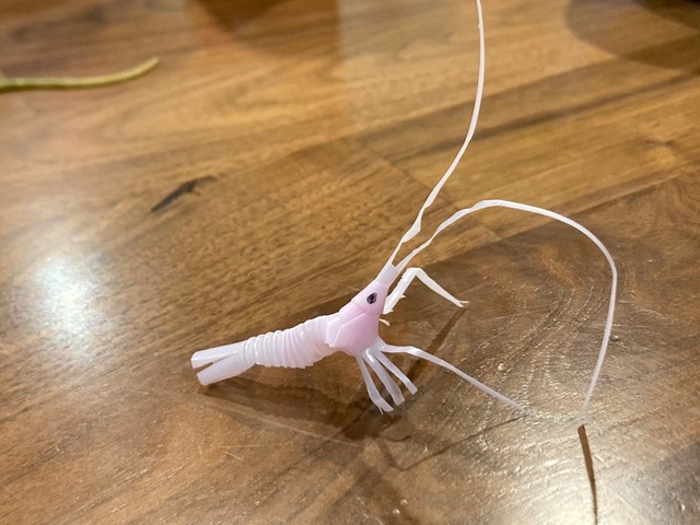 ストローで作られたエビ（提供：きりこ🦑止まらない飲酒さん）