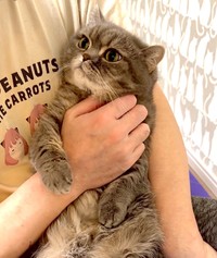 抱っこされている時は優しい顔になるひまりちゃん