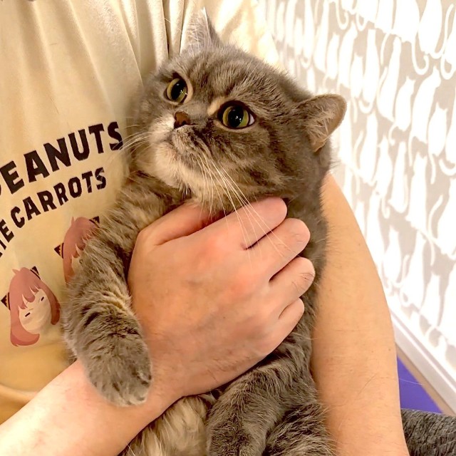 抱っこされている時は優しい顔になるひまりちゃん