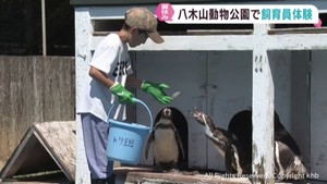 夏休みの子どもたちが動物園の飼育員体験　仙台・八木山動物公園