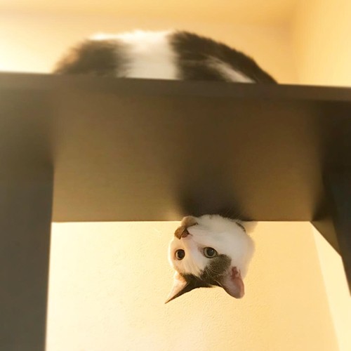 「何かあった？」