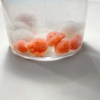 こちらは「白玉たこさん」（提供：REMMEさん）