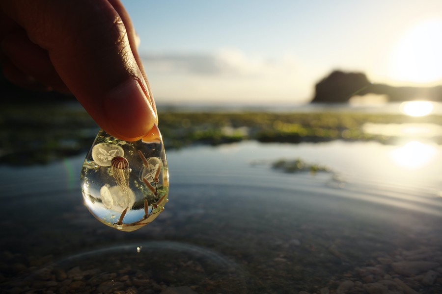 泳ぐ金魚やクラゲなど、まるで水中世界をそのまま閉じ込めたかのような