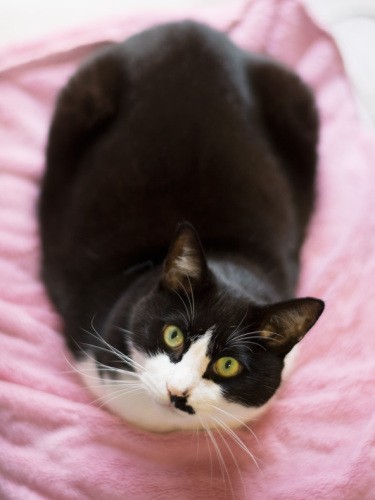 「ではまた来年会いましょう。さよなら、さよなら、さよなら」（小林写函撮影）