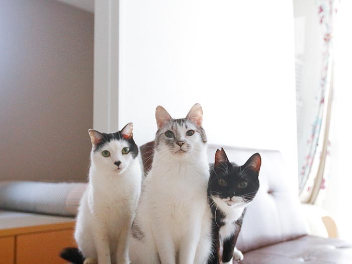 集合写真も完璧