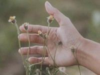 貴方のいない世界には未来がないと思っていた。それでも