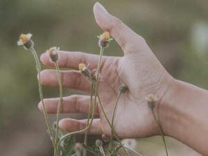 次に会ったら謝ろうと思っていたのに。父は静かに叔父の死を告げた