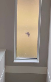 鳥が家の窓を突いています…／なぎたんママさん（@na_tan_gram.7）提供