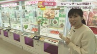 オタカラアミューズ 津山店　津山市河辺