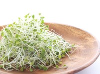 ブロッコリースプラウト