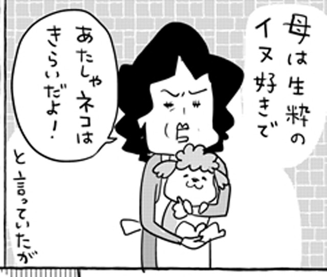 お母さんは犬が好きです（提供：松本ひで吉さん）
