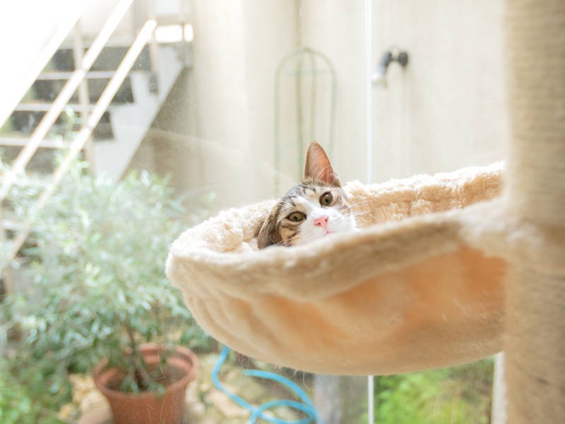 ではないようだ。次の楽しみのため、睡眠は大事