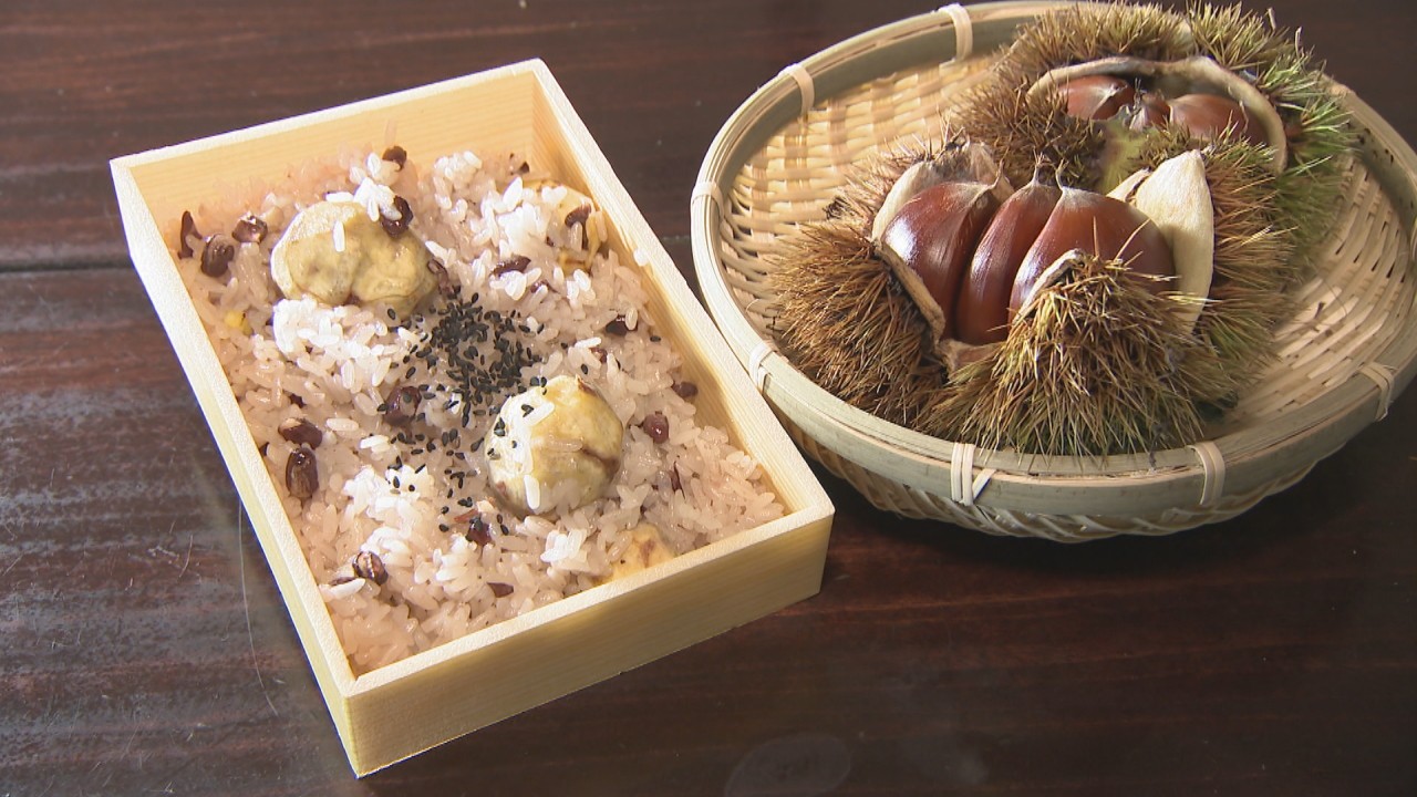 秋の味覚 栗の収穫始まる ホクホクの栗飯も 香川 さぬき市 Ksbニュース Ksb瀬戸内海放送